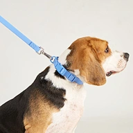 Dog leash